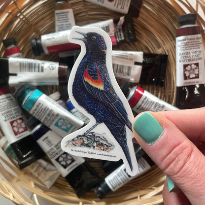 Red-winged Blackbird - Bird Art by KB - Sticker