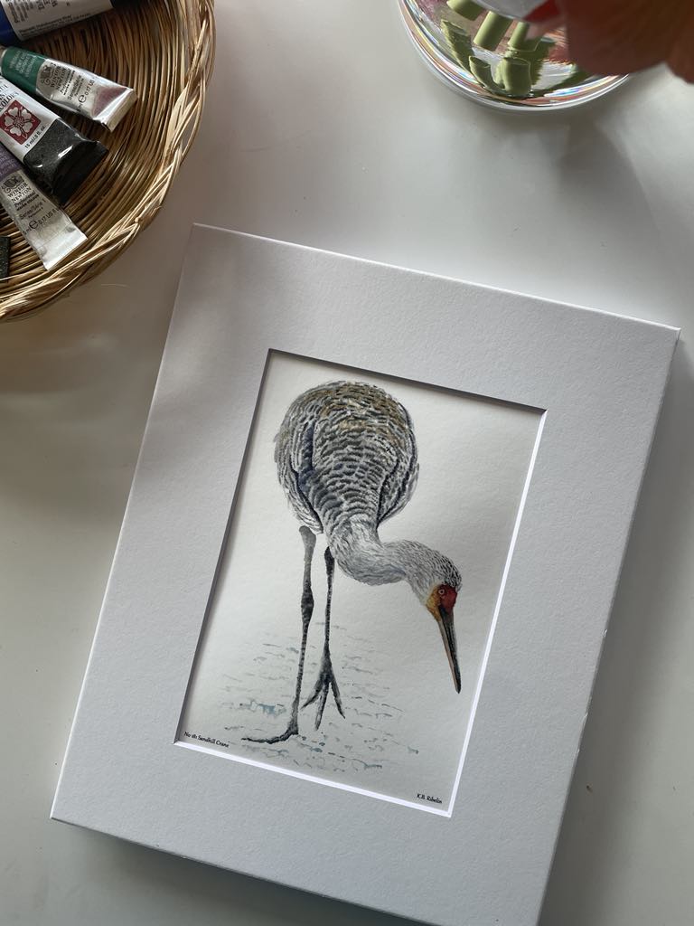 Sandhill Crane - Bird Art by KB - Giclee Print with White Mat