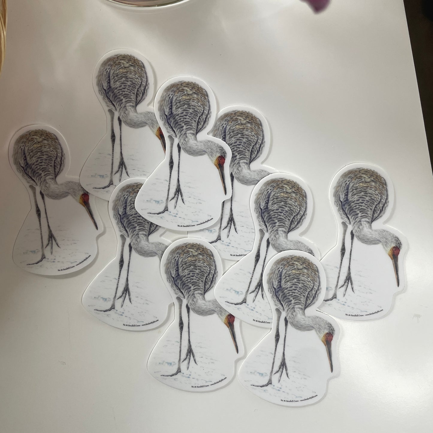 Sandhill Crane - Bird Art by KB - Sticker
