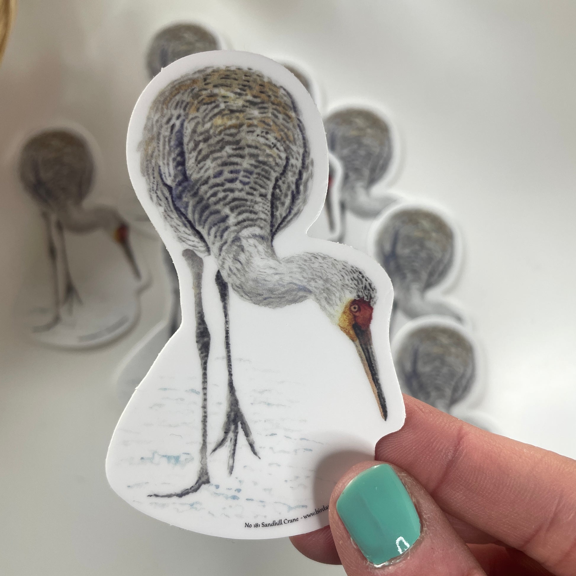 Sandhill Crane - Bird Art by KB - Sticker