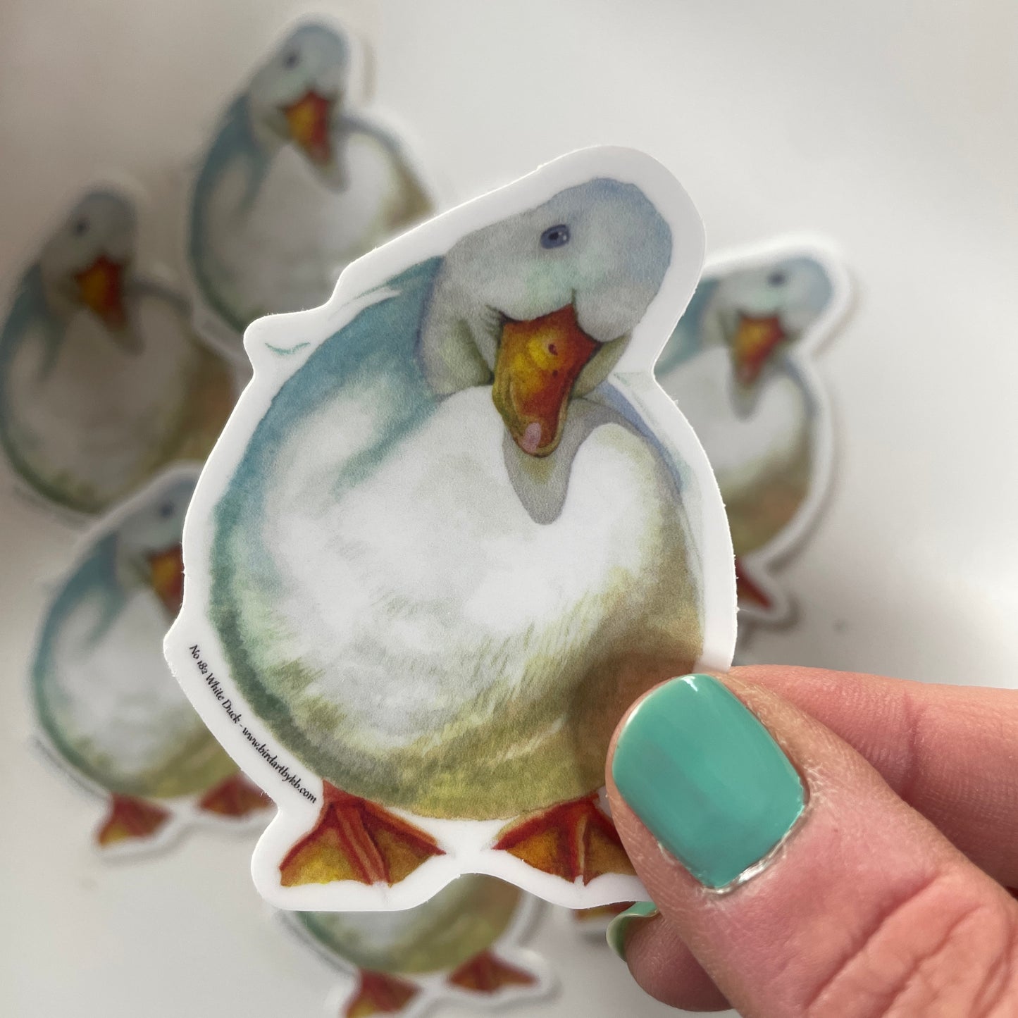 White Duck - Bird Art by KB - Sticker