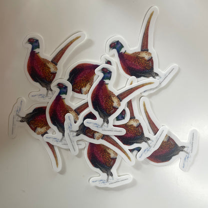 Common Pheasant - Bird Art by KB - Sticker