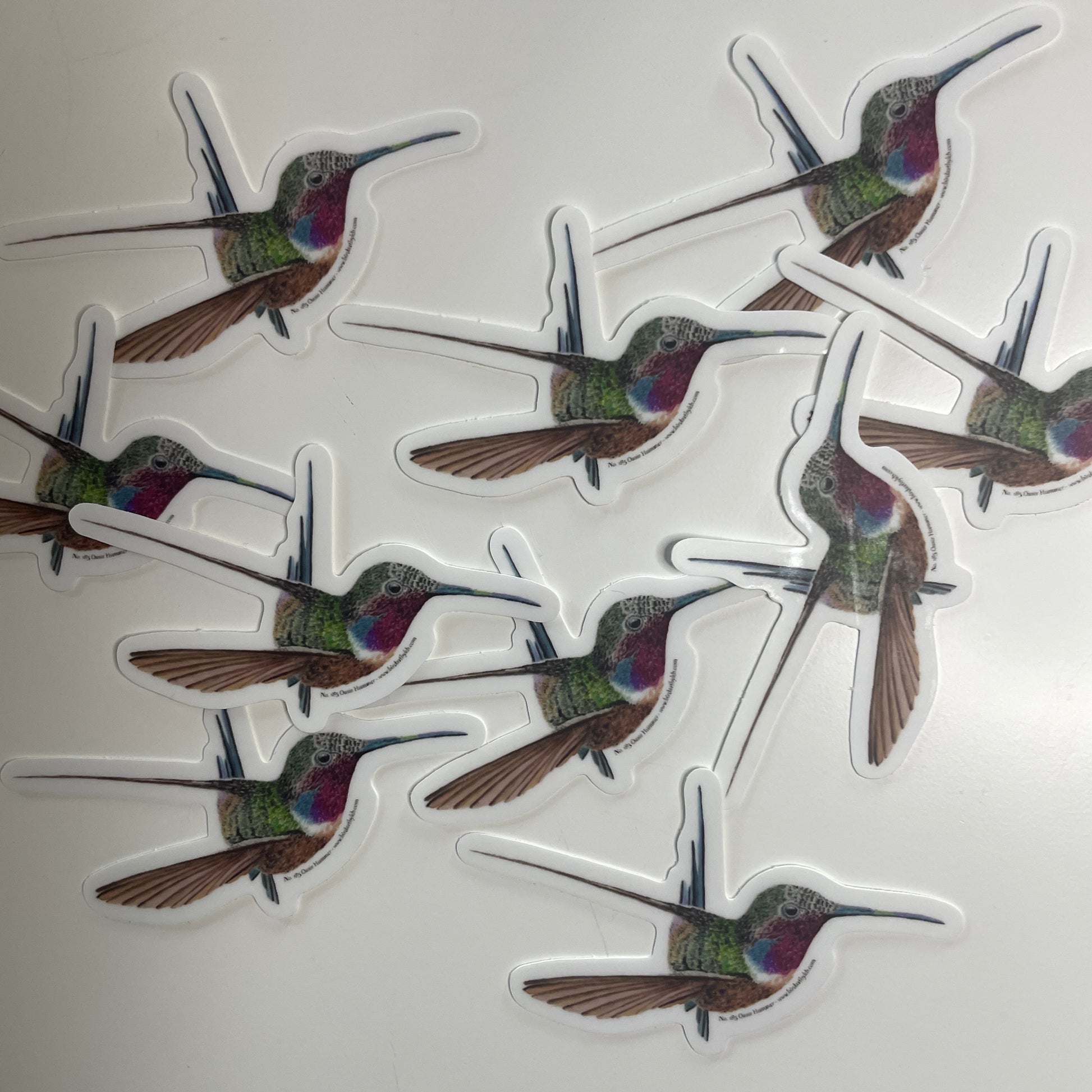 Oasis Hummer - Bird Art by KB - Sticker