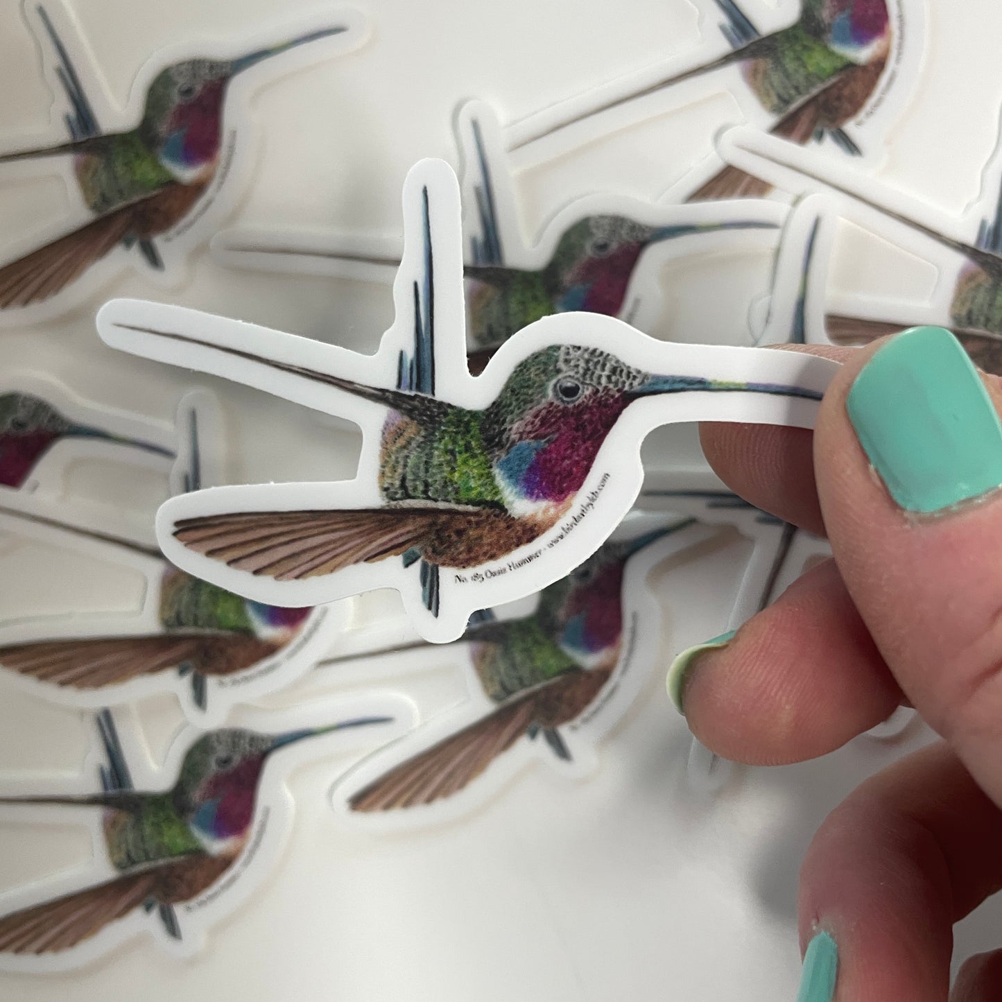 Oasis Hummer - Bird Art by KB - Sticker