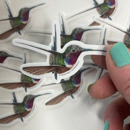 Oasis Hummer - Bird Art by KB - Sticker