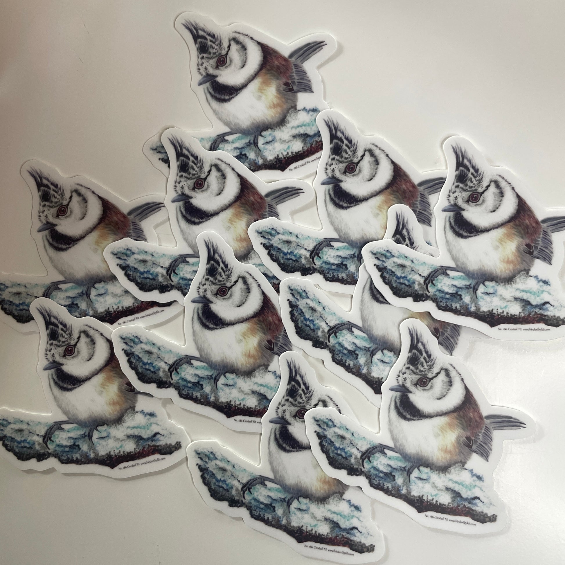 Crested Tit- Bird Art by KB - Sticker
