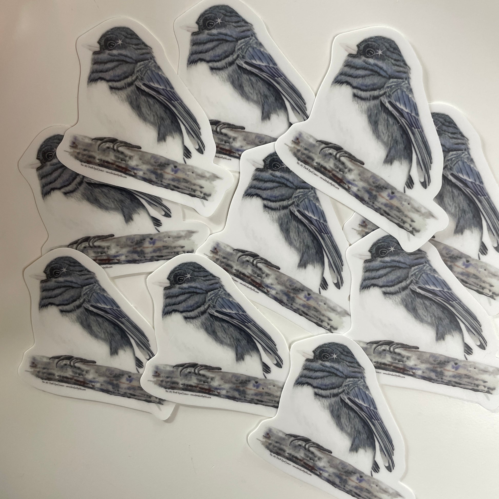 Dark-eyed Junco - Bird Art by KB - Sticker