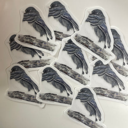 Dark-eyed Junco - Bird Art by KB - Sticker