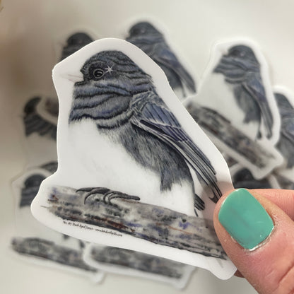 Dark-eyed Junco - Bird Art by KB - Sticker