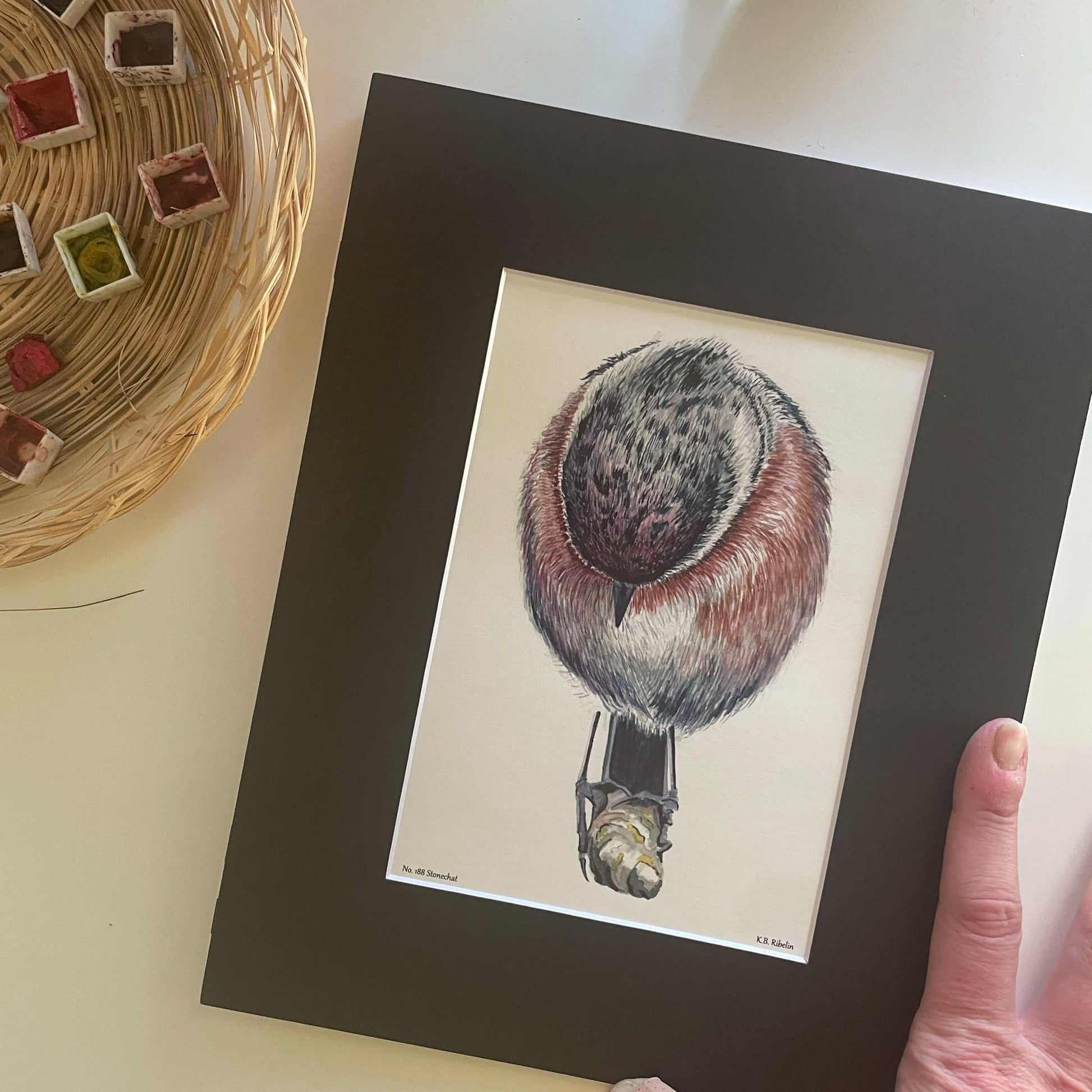 Stonechat - Bird Art by KB - Giclee Print with Black Mat