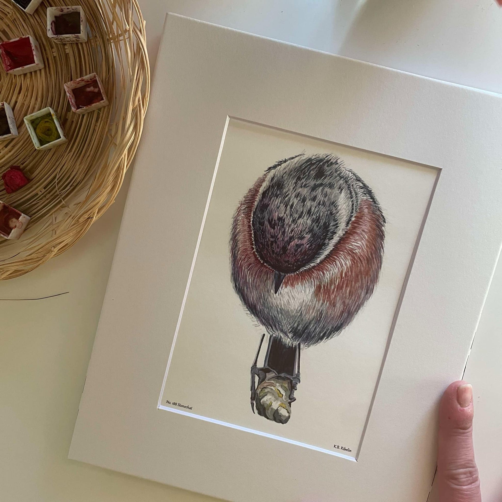 Stonechat - Bird Art by KB - Giclee Print with White Mat