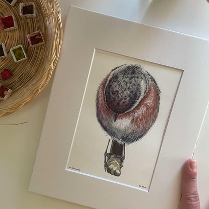 Stonechat - Bird Art by KB - Giclee Print with White Mat
