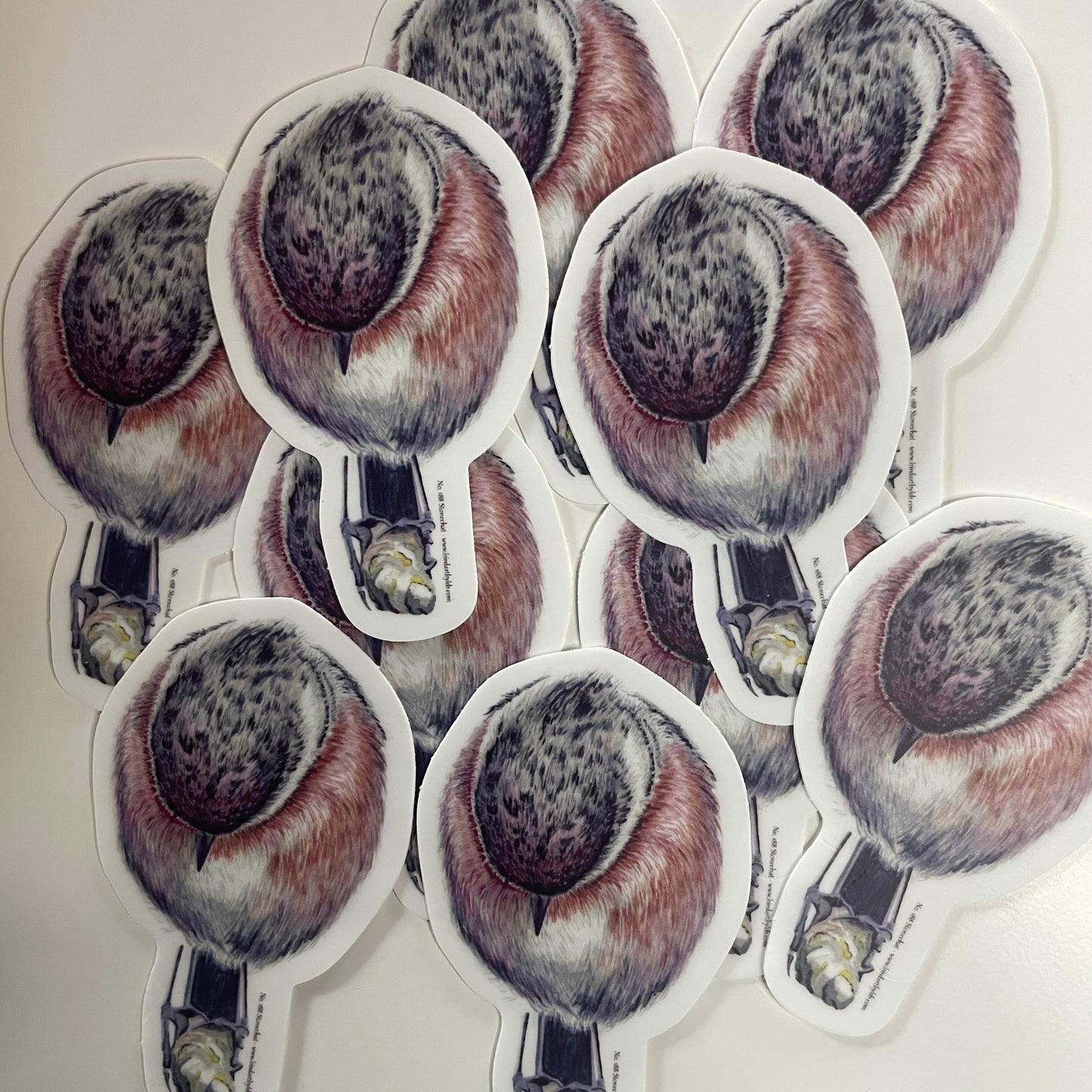 Stonechat - Bird Art by KB - Sticker