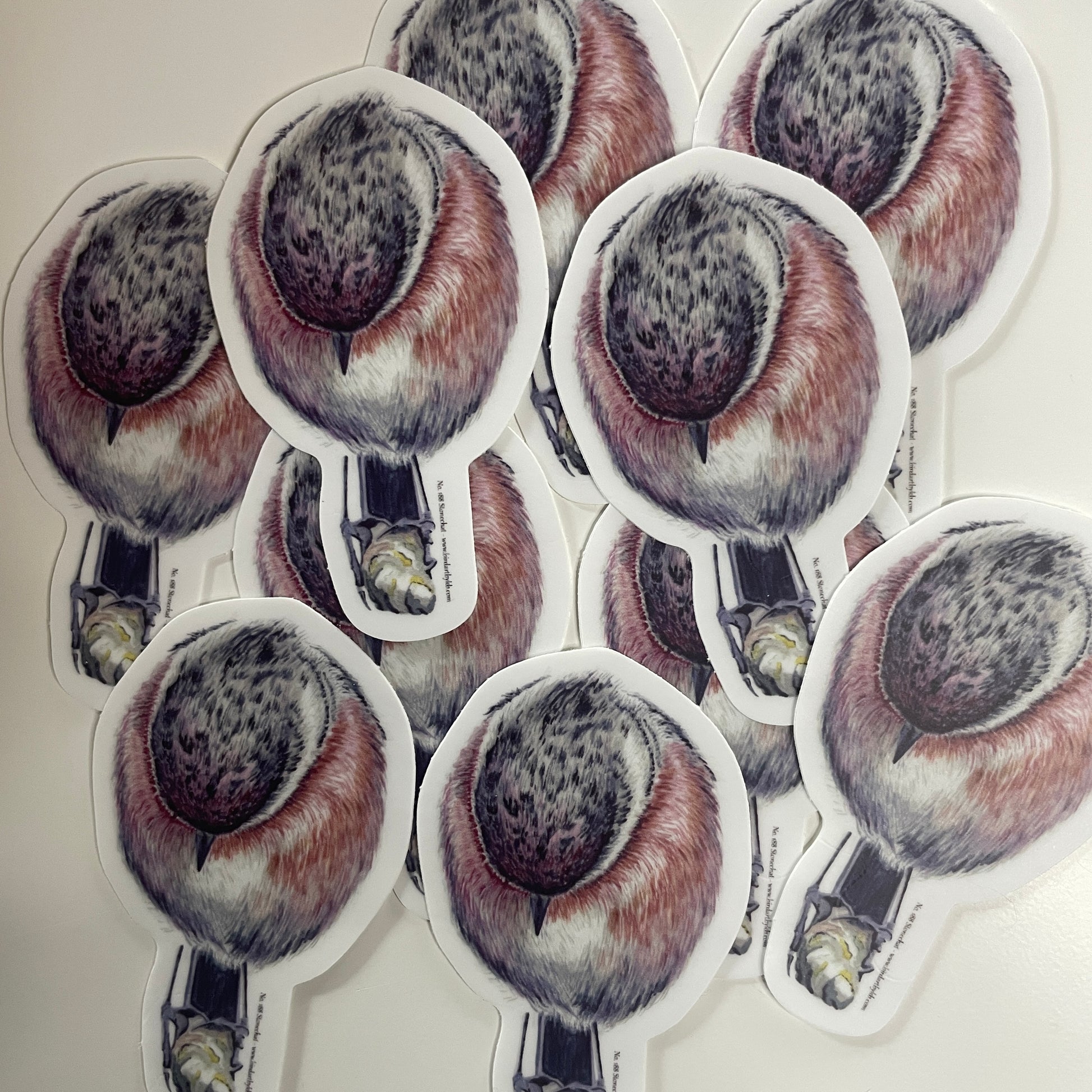 Stonechat - Bird Art by KB - Sticker