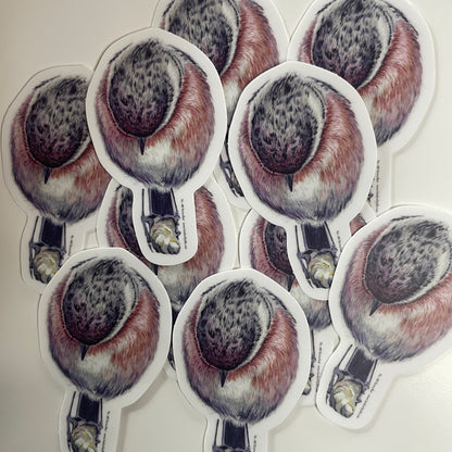 Stonechat - Bird Art by KB - Sticker