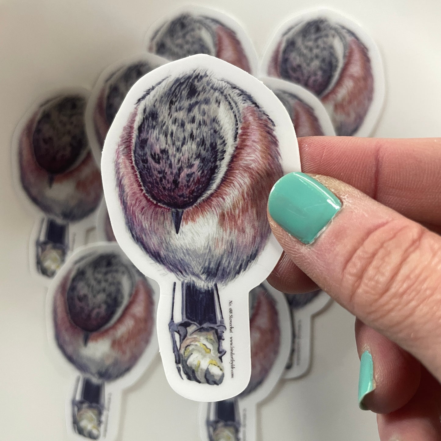 Stonechat - Bird Art by KB - Sticker