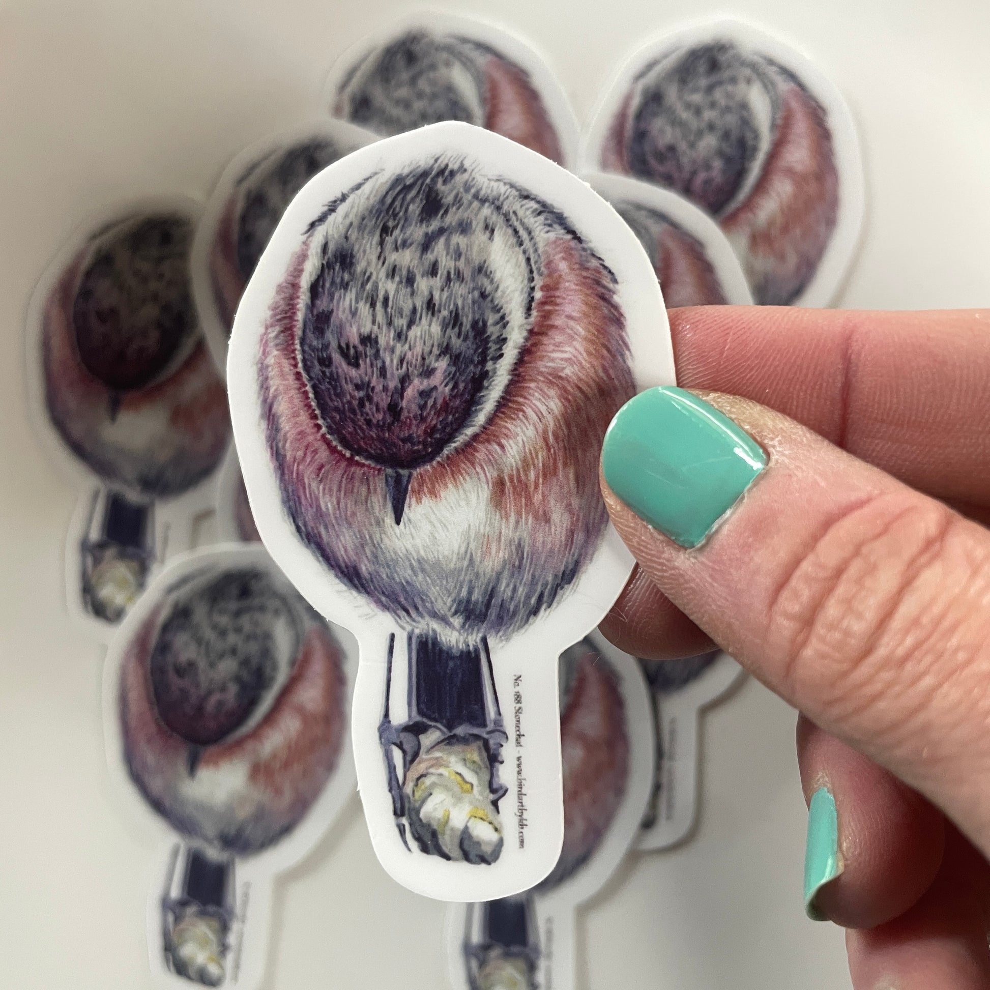 Stonechat - Bird Art by KB - Sticker
