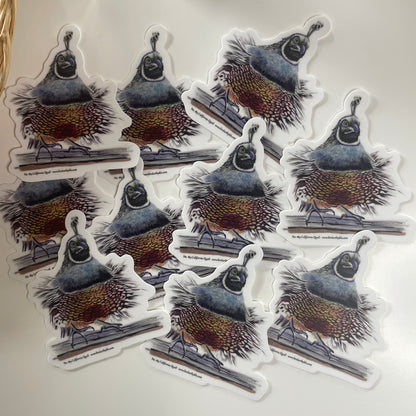 California Quail - Bird Art by KB - Sticker