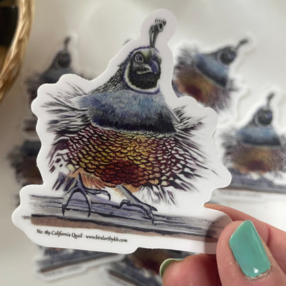 California Quail - Bird Art by KB - Sticker