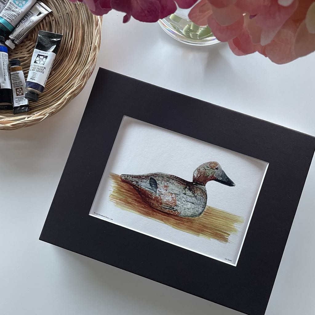 Canvasback Duck Decoy - Bird Art by KB - Giclee Print with Black Mat