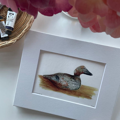 Canvasback Duck Decoy - Bird Art by KB - Giclee Print with White Mat