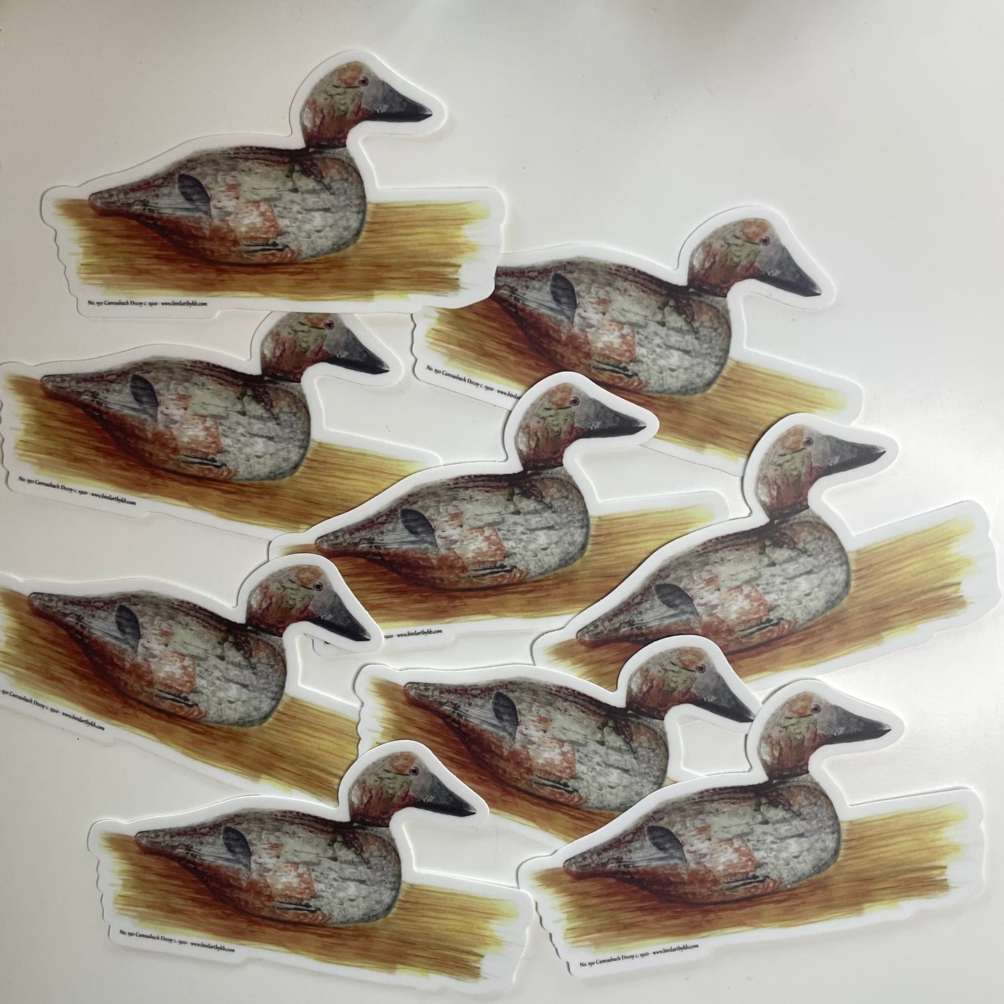 Canvasback Duck Decoy - Bird Art by KB - Sticker