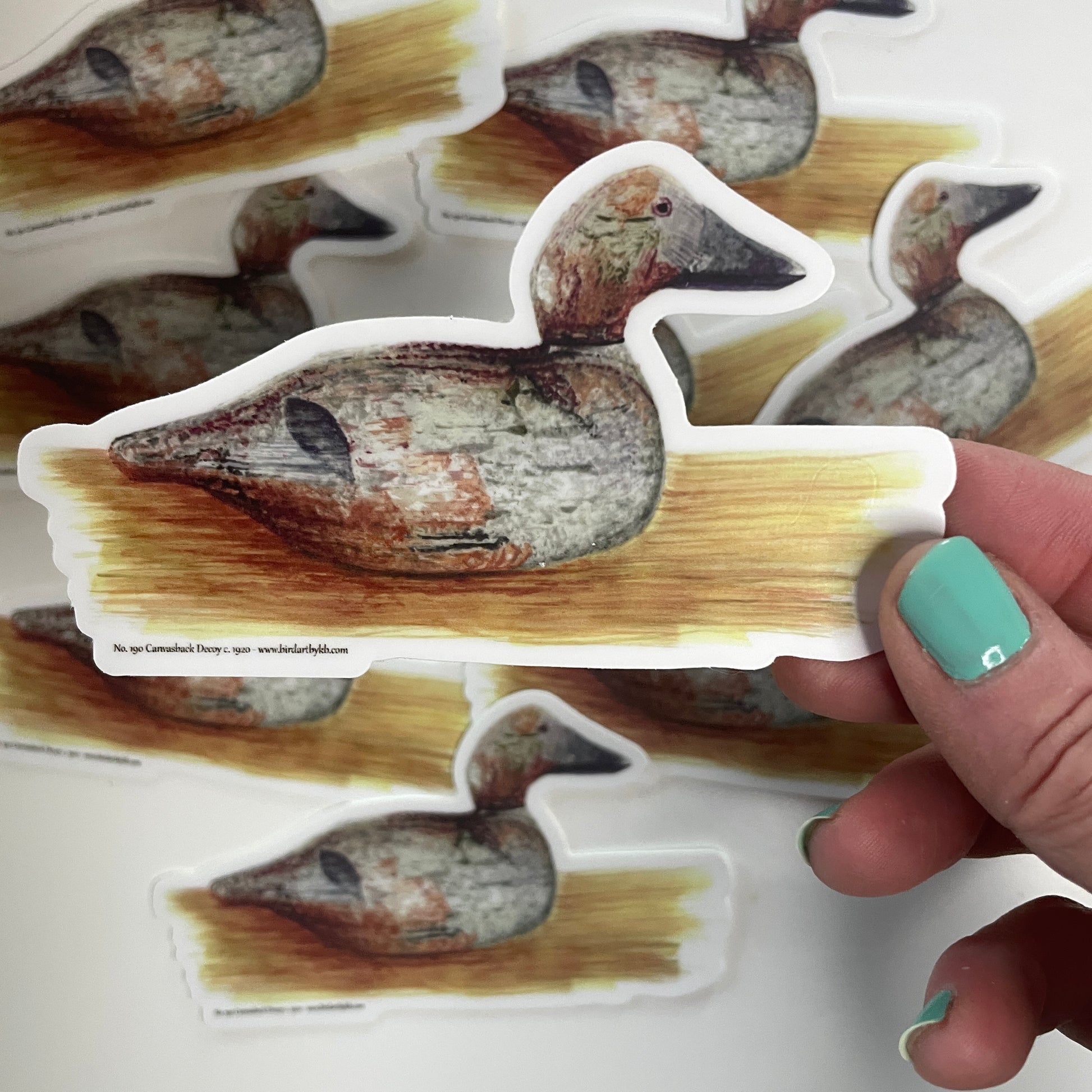Canvasback Duck Decoy - Bird Art by KB - Sticker