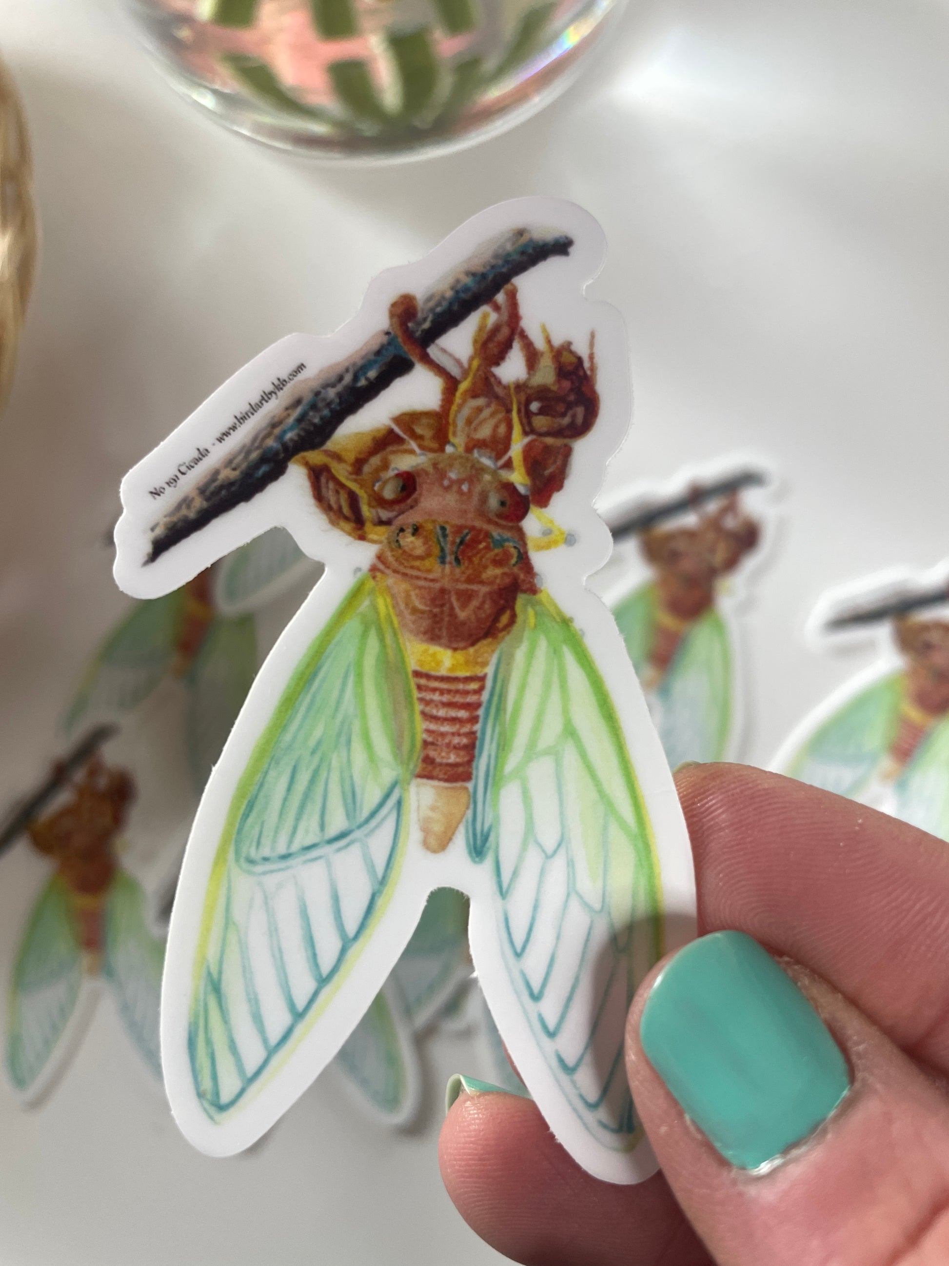 Cicada - Bird Art by KB - Sticker