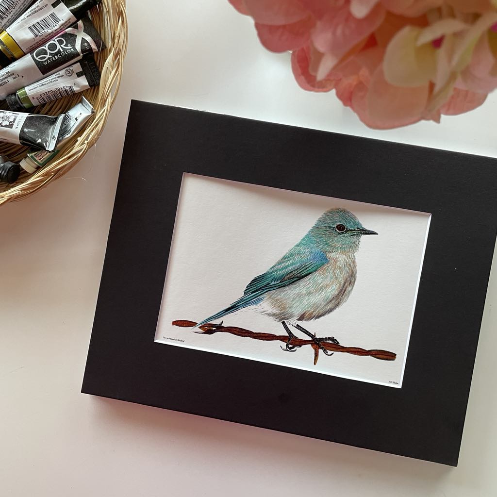 Mountain Bluebird - Bird Art by KB - Giclee Print with Black Mat