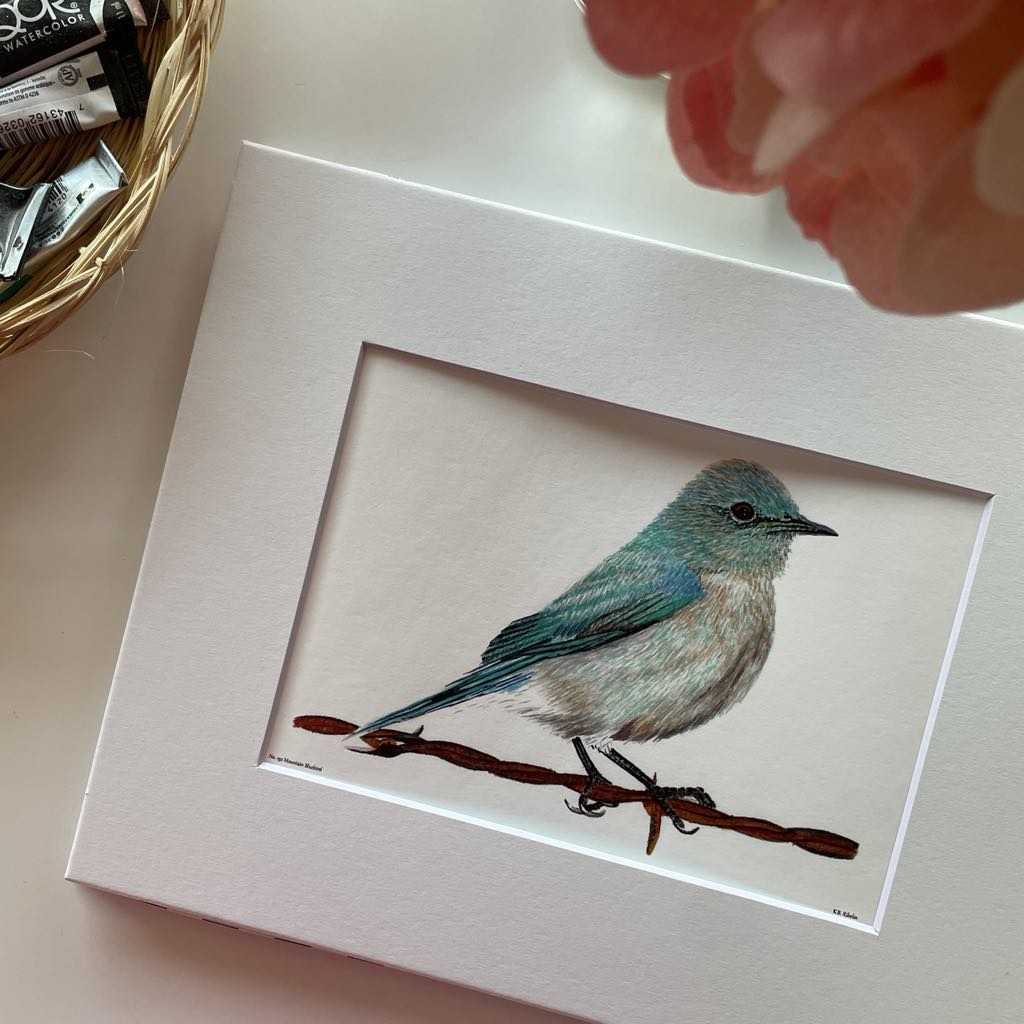 Mountain Bluebird - Bird Art by KB - Giclee Print with White Mat