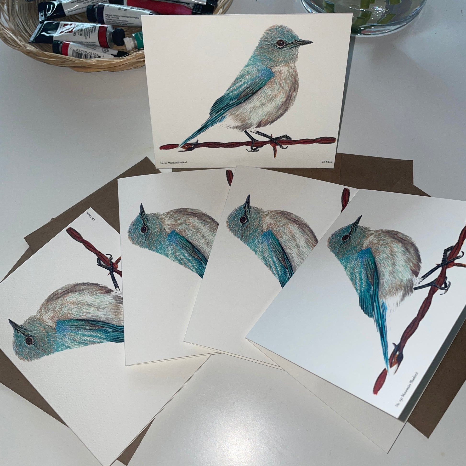 Mountain Bluebird - Bird Art by KB - Notecard Set