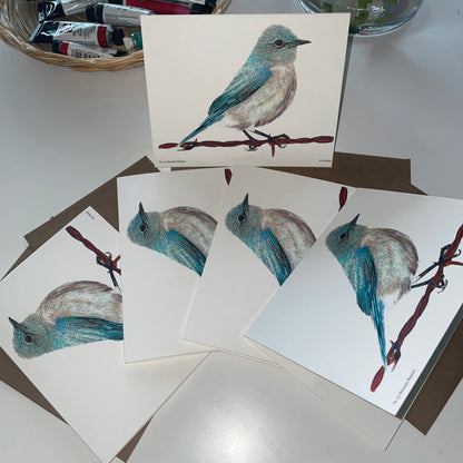 Mountain Bluebird - Bird Art by KB - Notecard Set