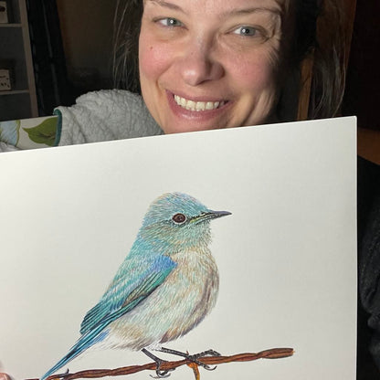 Mountain Bluebird - Bird Art by KB - Original