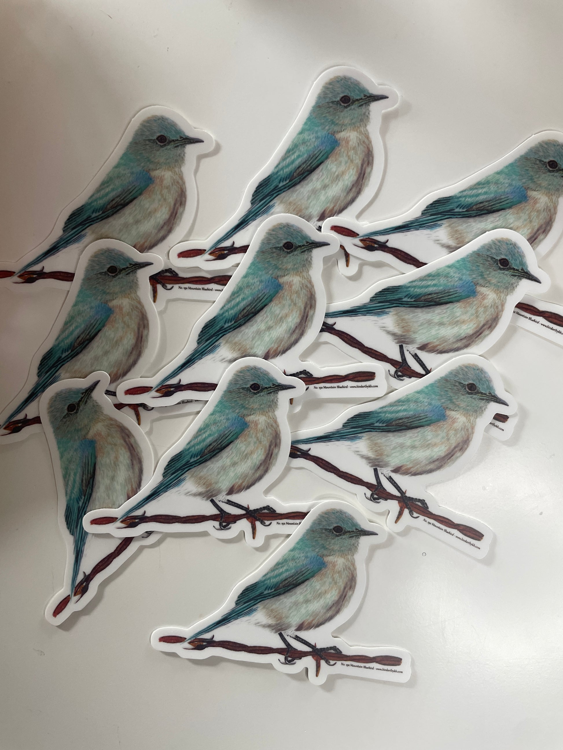 Mountain Bluebird - Bird Art by KB - Sticker