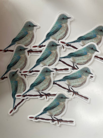 Mountain Bluebird - Bird Art by KB - Sticker