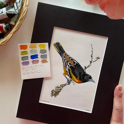Baltimore Oriole - Bird Art by KB - Giclee Print with Black Mat