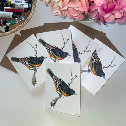 Baltimore Oriole - Bird Art by KB - Notecard