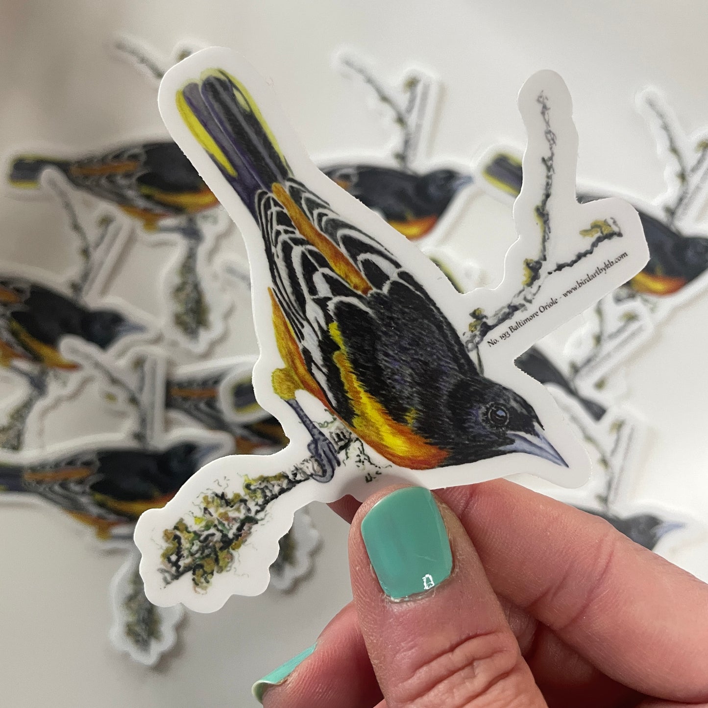 Baltimore Oriole - Bird Art by KB - Sticker