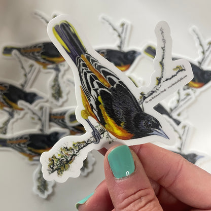 Baltimore Oriole - Bird Art by KB - Sticker