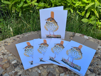 Hermit Thrush - Bird Art by KB - Notecard Set