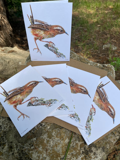 Sedge Wren - Bird Art by KB - Notecard Set