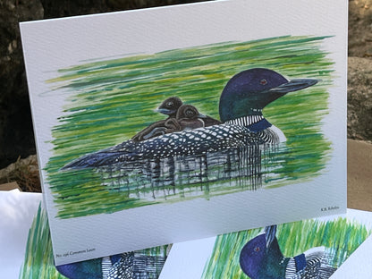 Common Loon - Bird Art by KB - Notecard