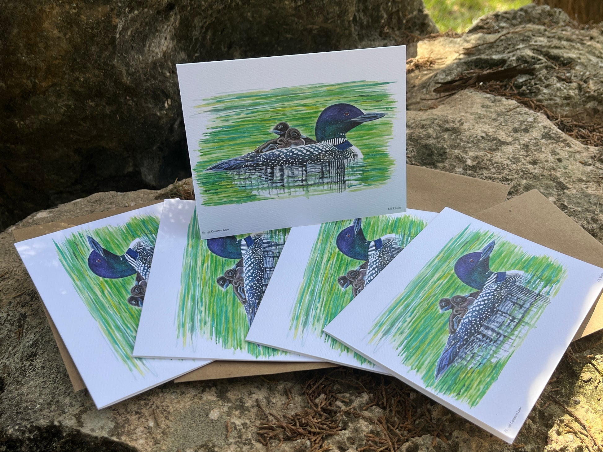 Common Loon - Bird Art by KB - Notecard Set