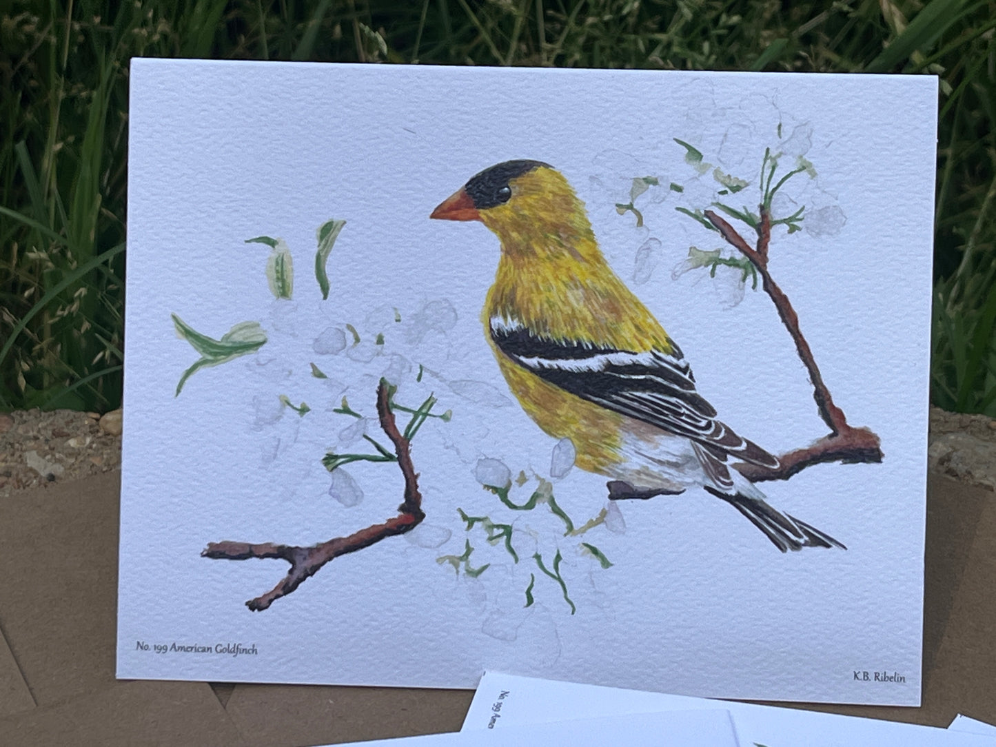 American Goldfinch - Bird Art by KB - Notecard