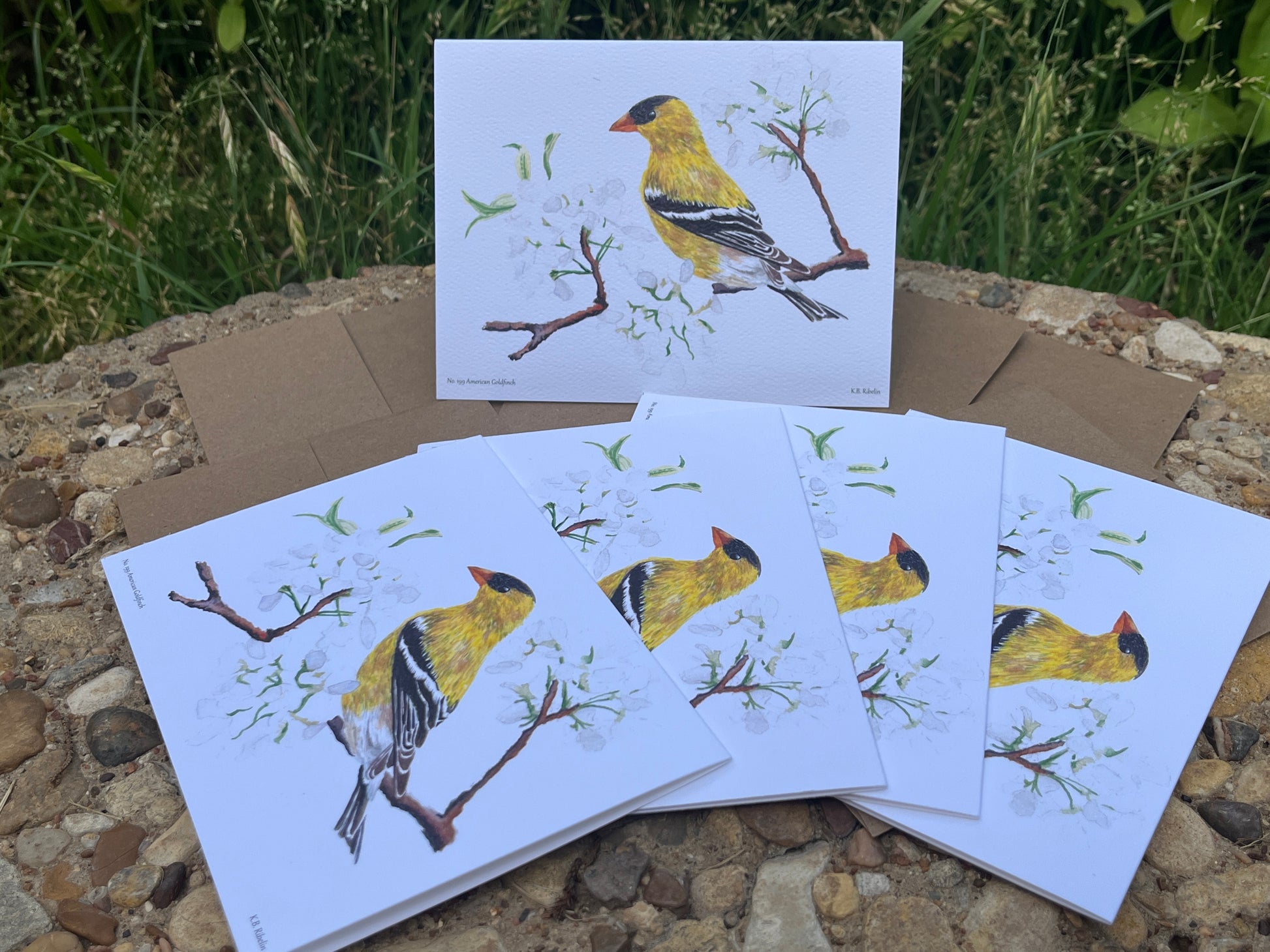 American Goldfinch - Bird Art by KB - Notecard Set