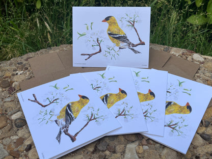 American Goldfinch - Bird Art by KB - Notecard Set
