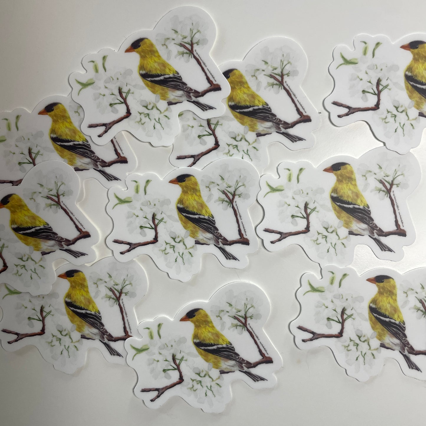 American Goldfinch - Bird Art by KB - Sticker