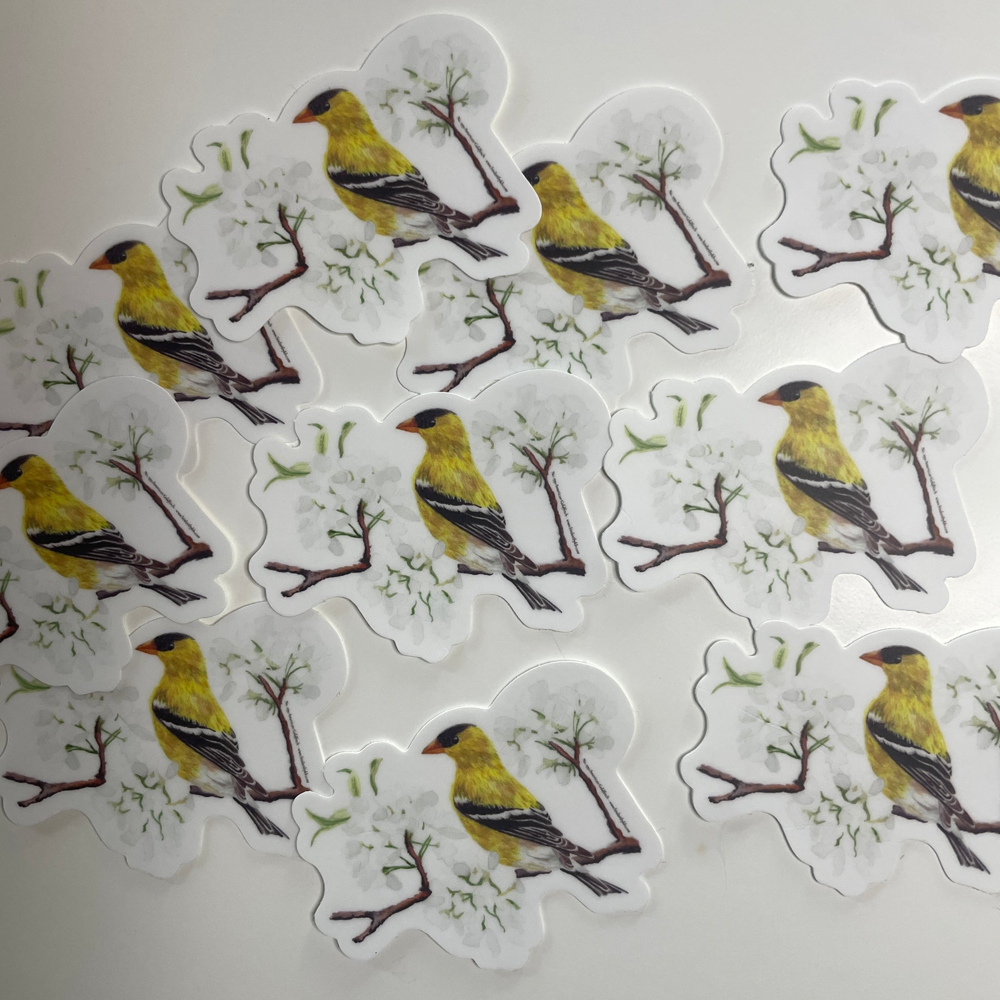 American Goldfinch - Bird Art by KB - Sticker