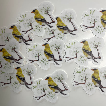 American Goldfinch - Bird Art by KB - Sticker
