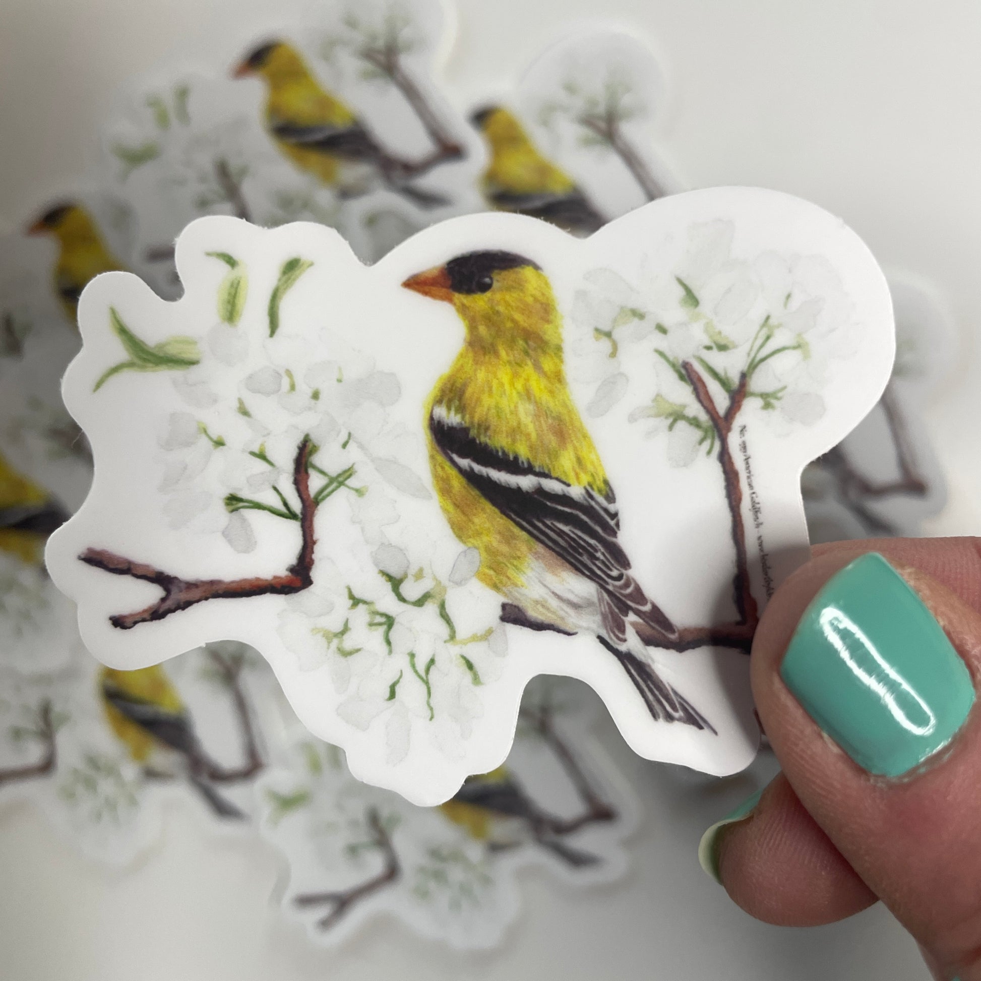 American Goldfinch - Bird Art by KB - Sticker